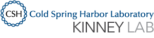 Kinney lab